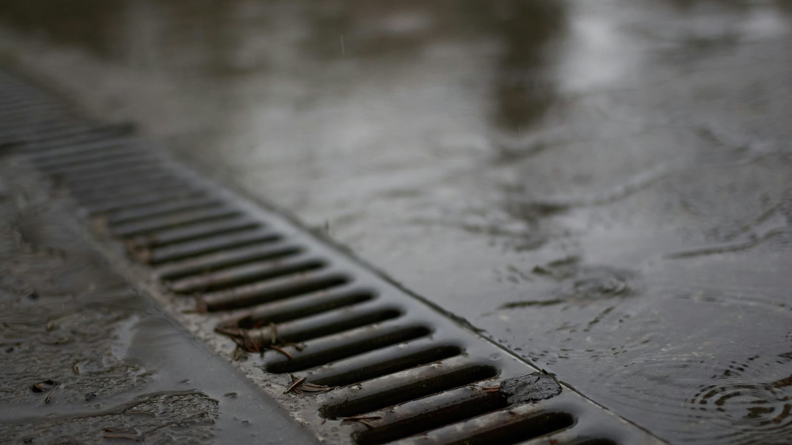 A metal drain on a wet concrete surface